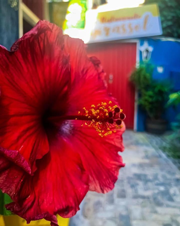 Pousada Girassol Morro de São Paulo Esterno foto